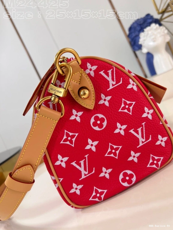 Aaa replica bags SPEEDY Vuitton Louis 25 0729